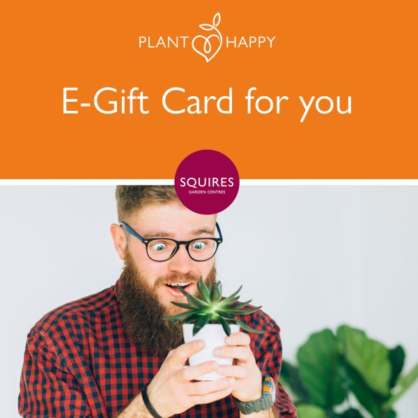 Squire's E-Gift Card - Teacher's Gifts